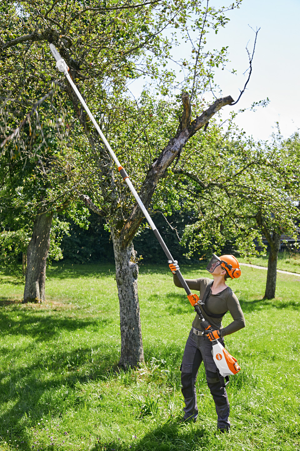 HTA 135 Cordless Pole Pruner