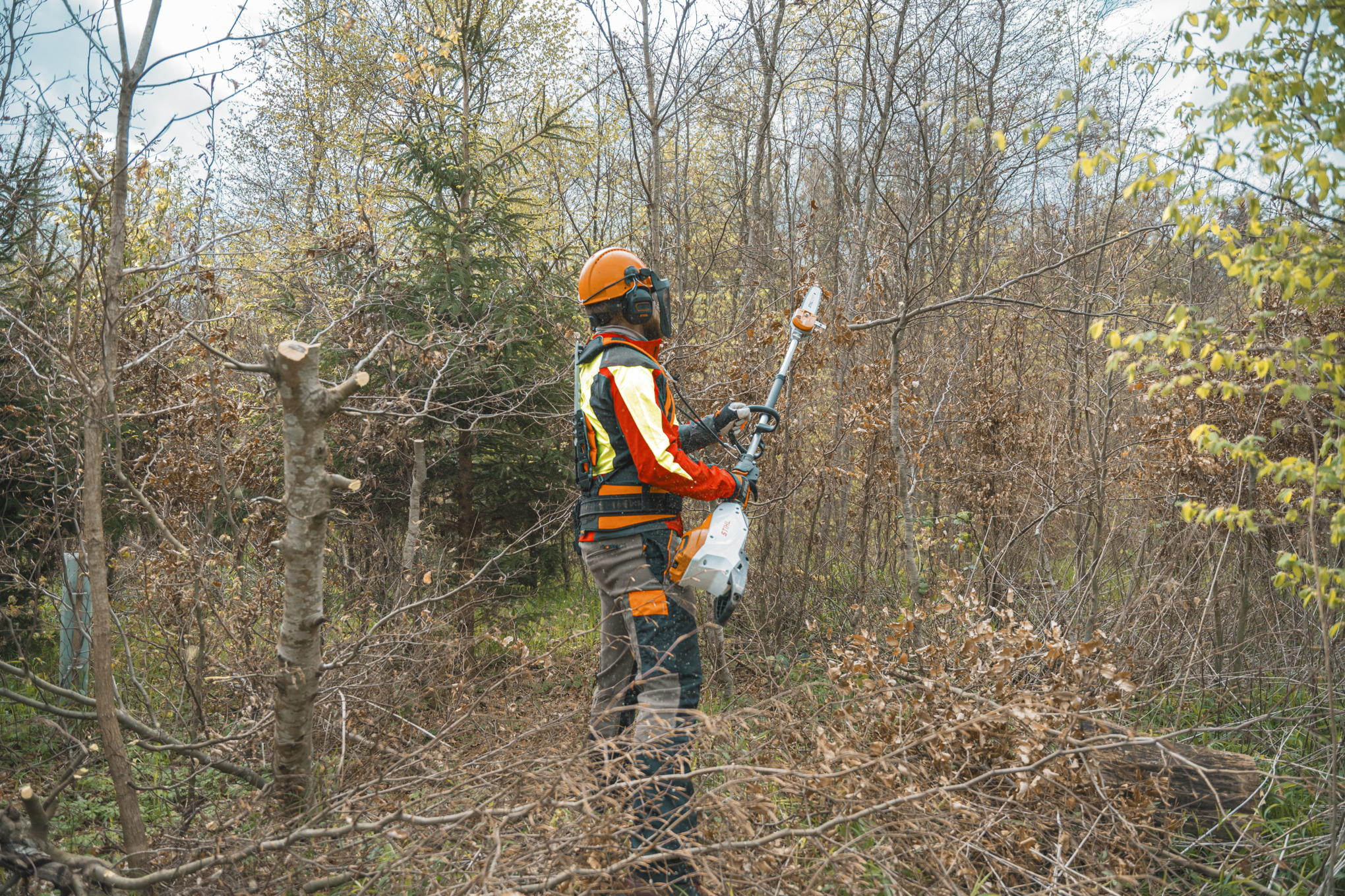 A view from behind of a person cutting a branch with the STIHL HTA 150 pole pruner