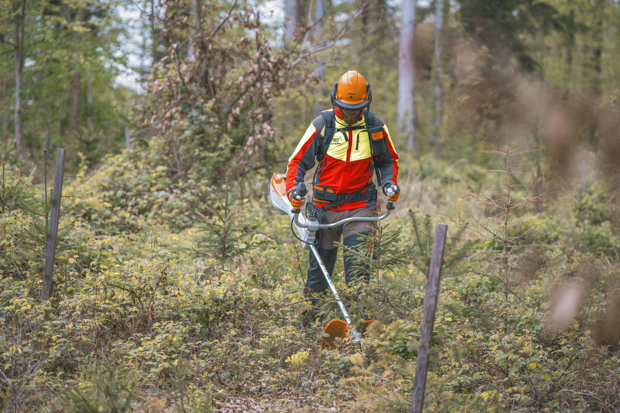 Markus Küchler trims overgrown scrub on the ground using the STIHL FSA 400 battery clearing saw