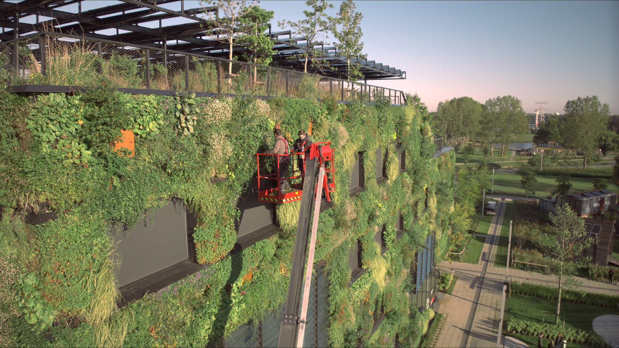 Two people on a lifting platform working on façade greenery at the Aeres University campus
