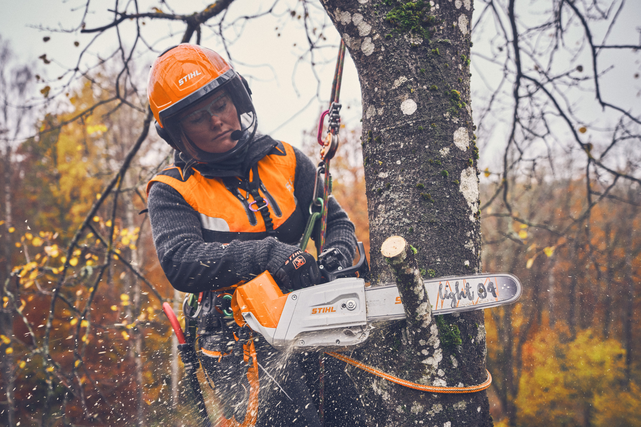 Professional woman taking care of a tree