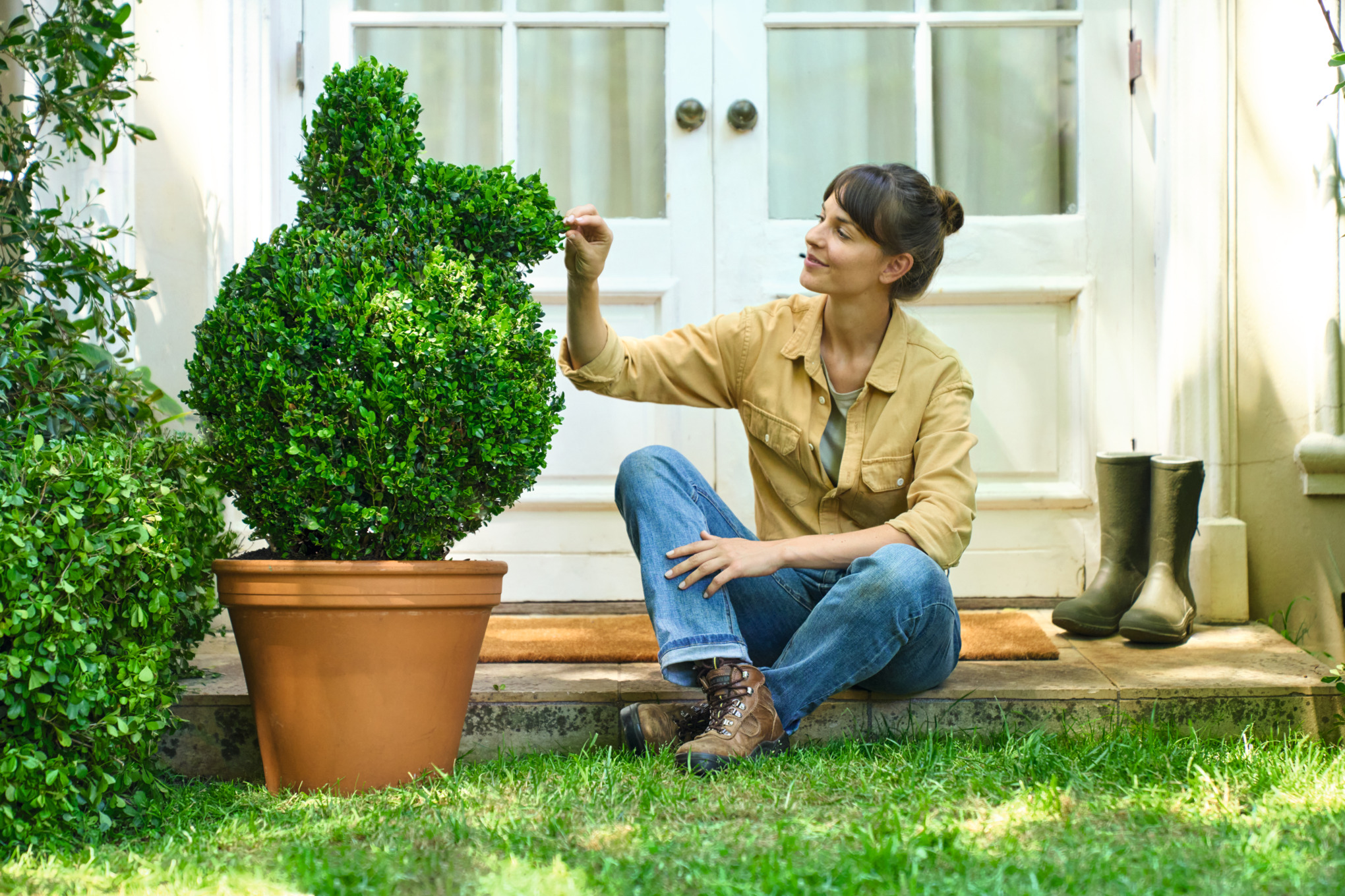 Boxwood Rabbit Boxwood shaped as a rabbit: how to do it | STIHL