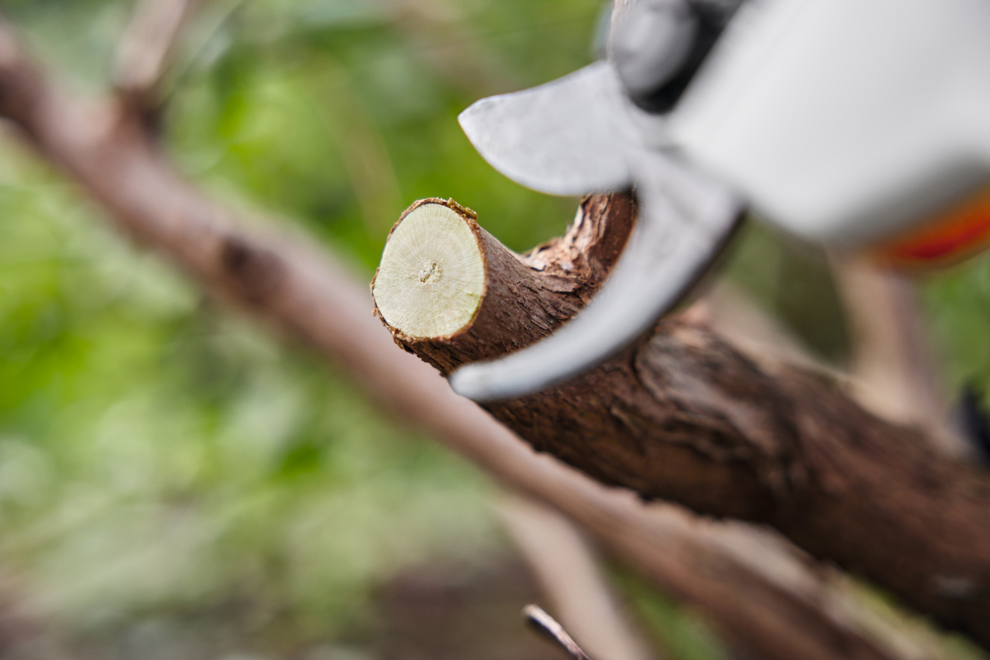 ASA 20 Cordless Secateurs with AS 2 battery and AL 1 charger