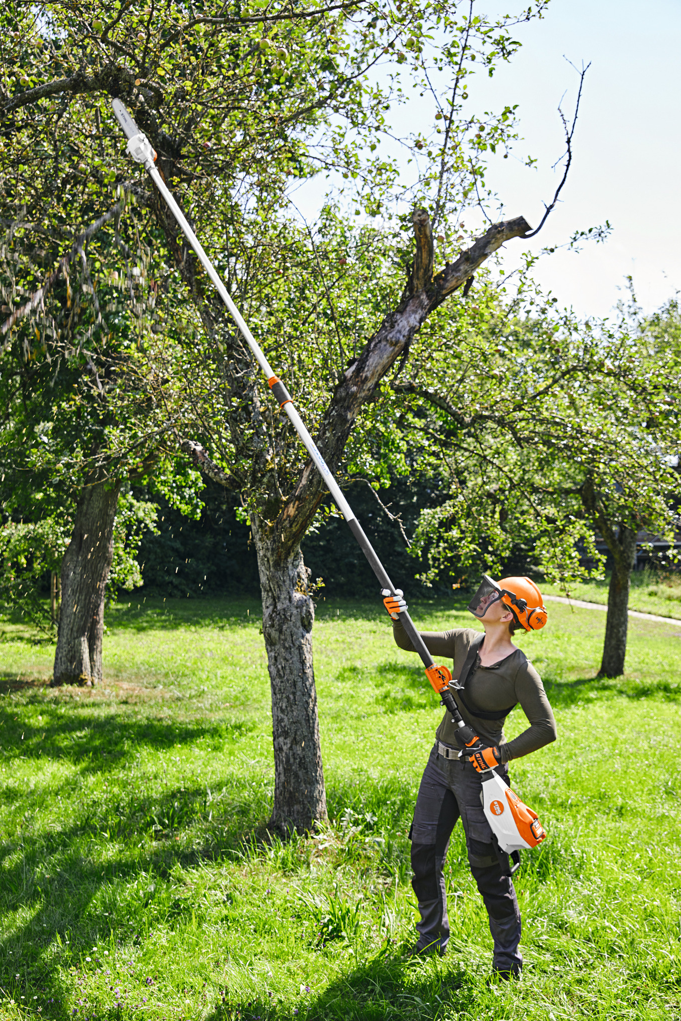 HTA 135 Cordless Pole Pruner