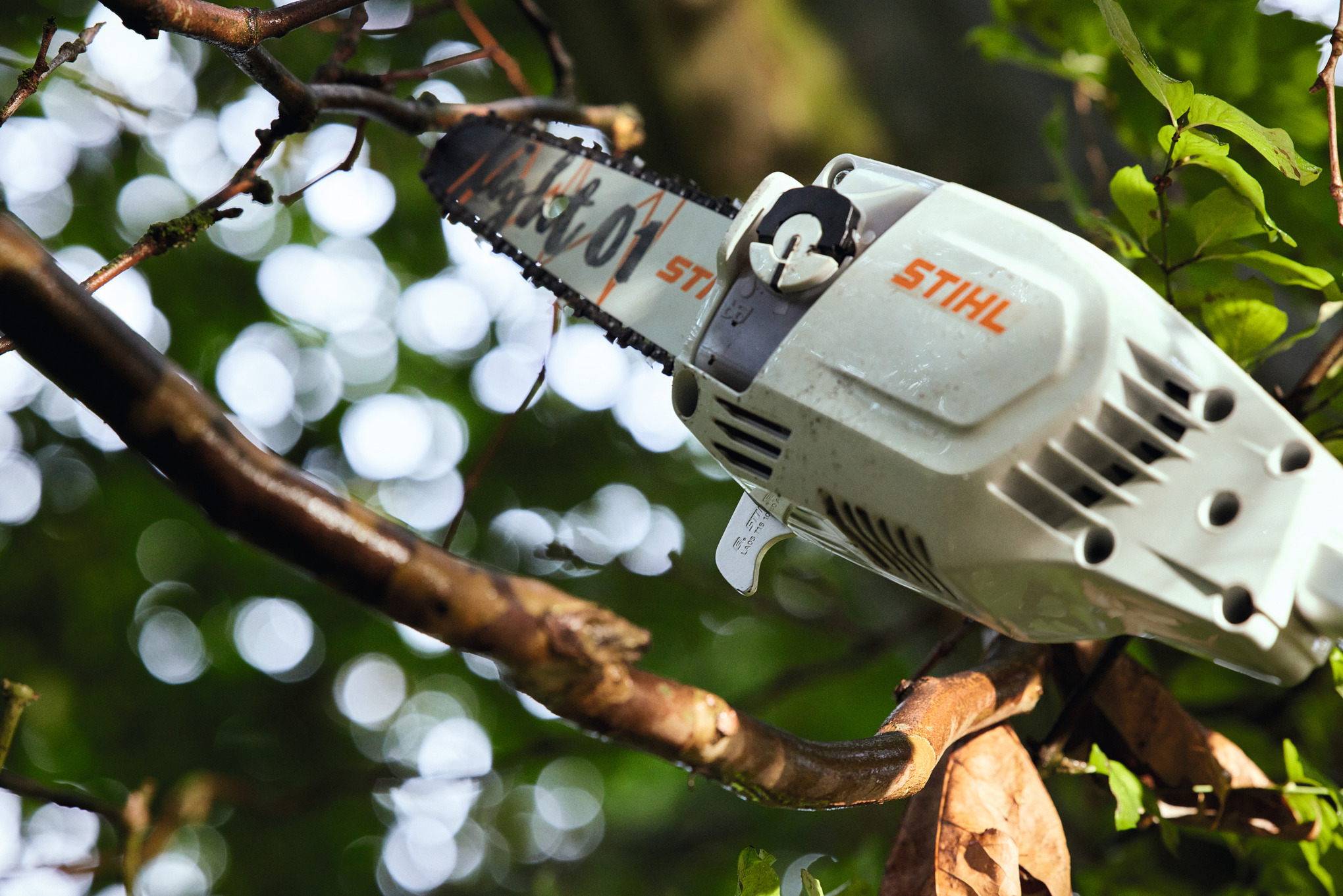 HTA 86 Cordless Pole Pruner