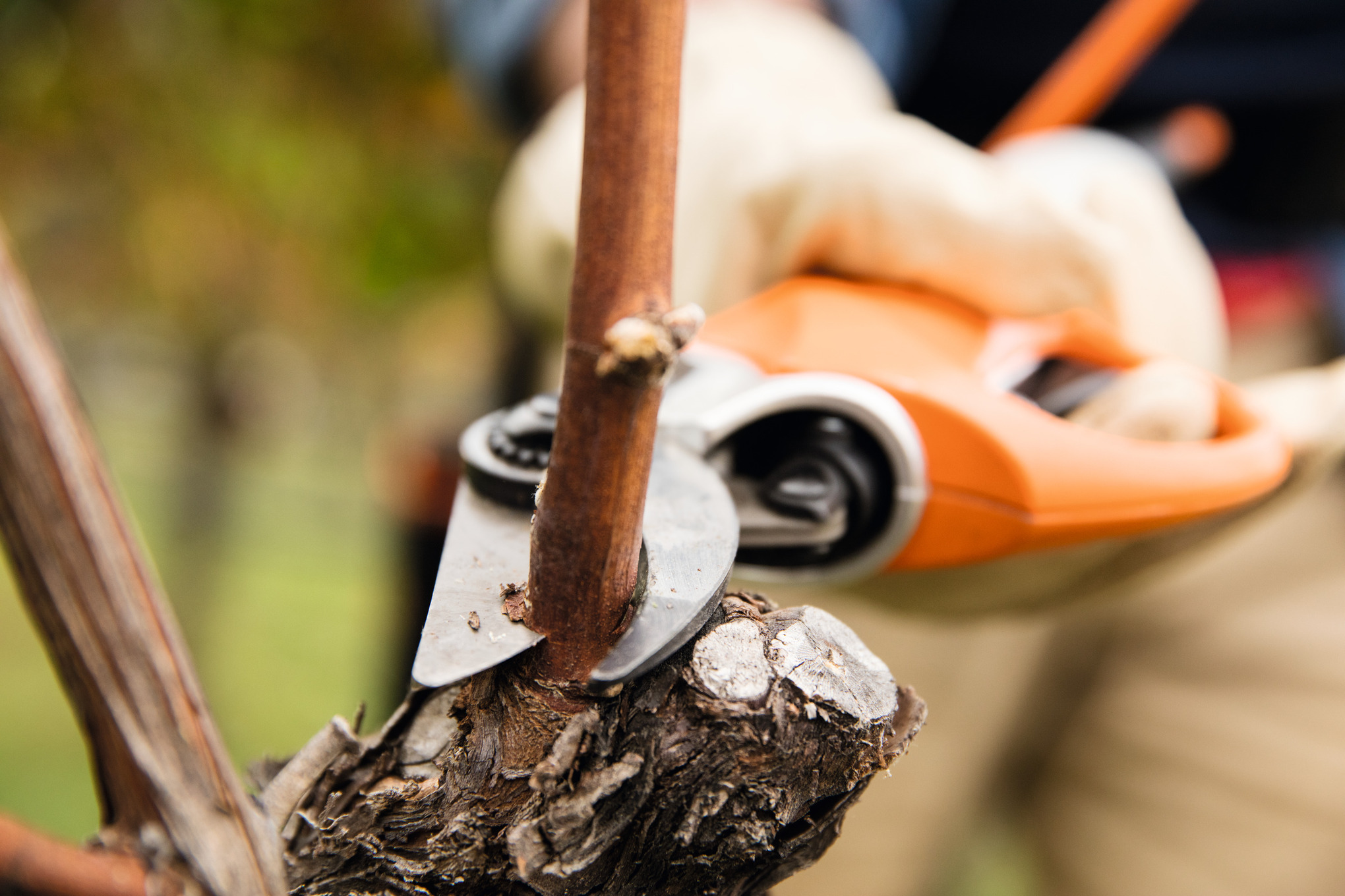 ASA 20 Cordless Secateurs with AS 2 battery and AL 1 charger