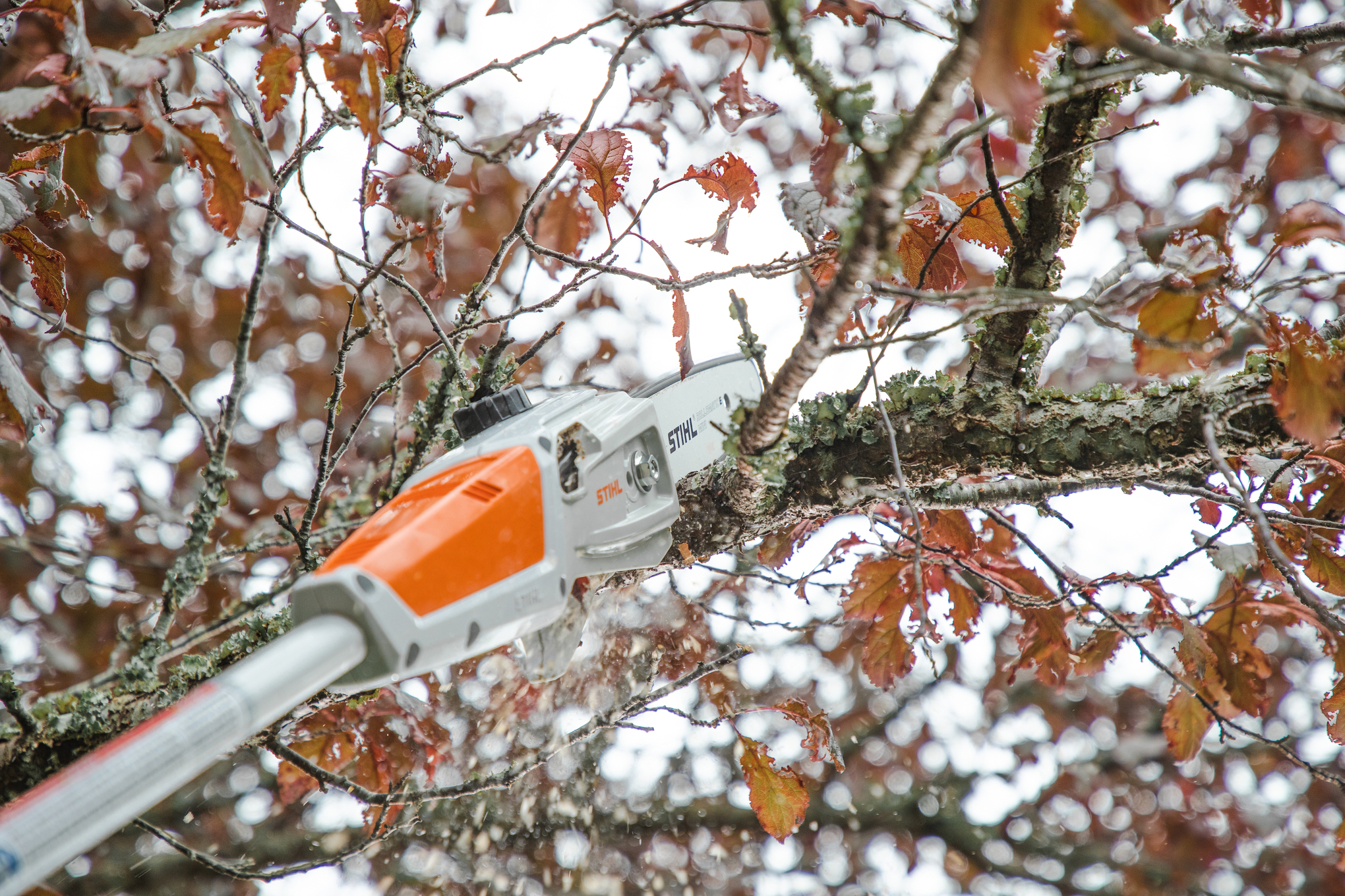 HTA 50 Pole Pruner