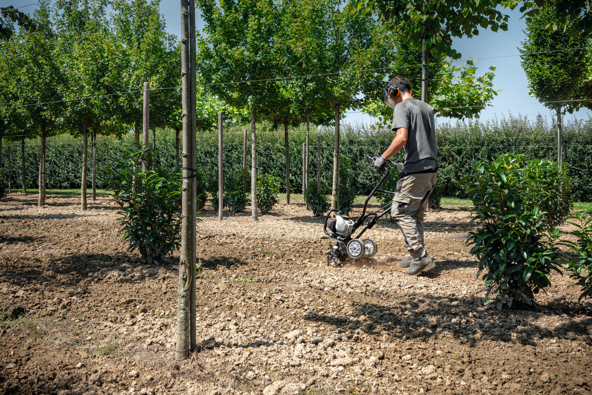 BC 230 Cultivator