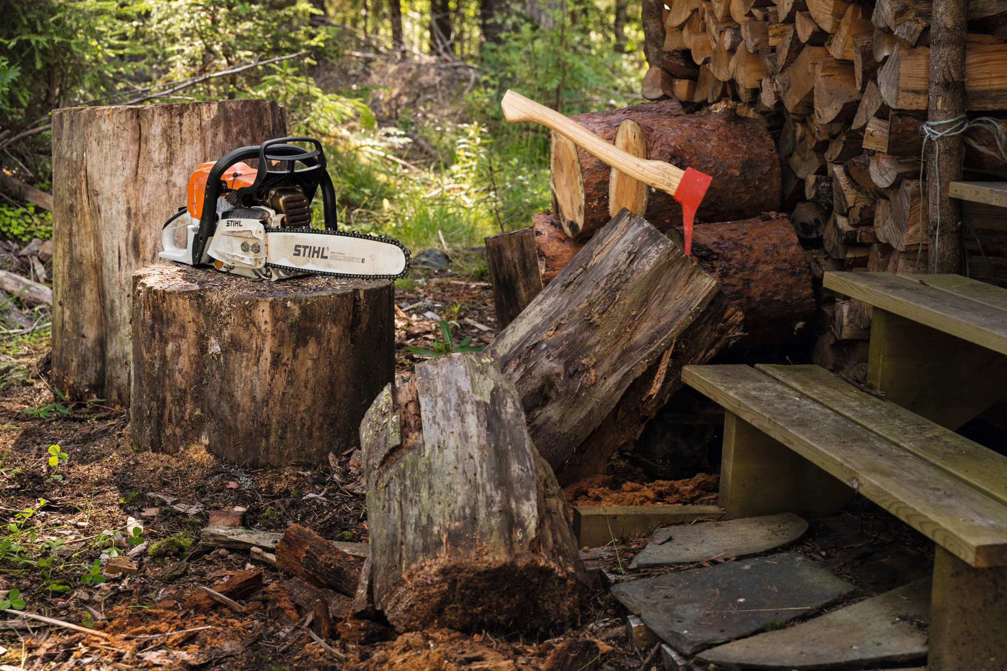 Chainsaw on a log in a field