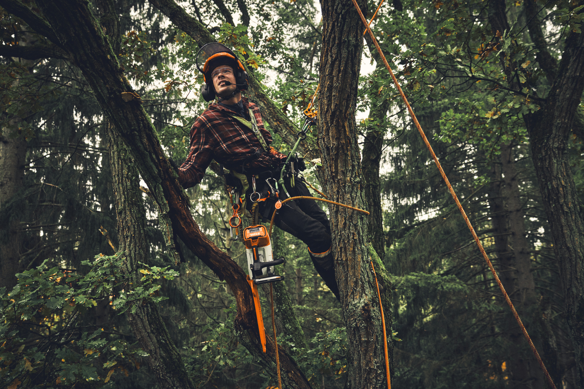 Man limbing with STIHL MSA 190 T cordless chainsaw