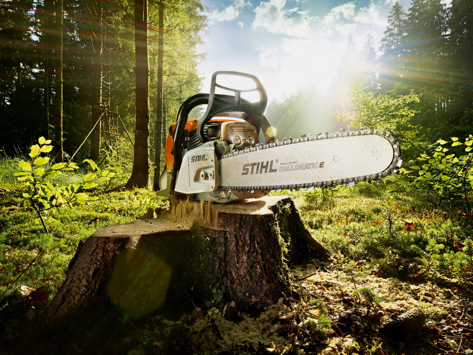 Chainsaw on a log in a field