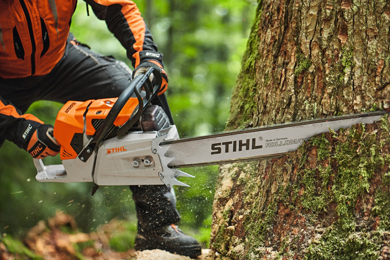 A person sawing a tree with a STIHL MS 881 petrol chainsaw with a nose bar