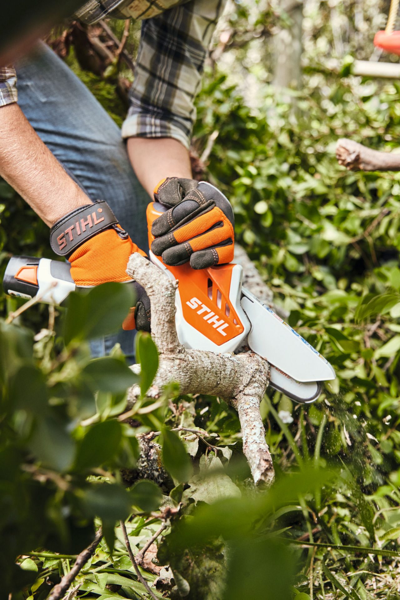 Hedge stems being cut with a STIHL GTA 26 cordless garden pruner